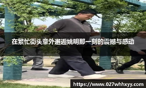 JN体育