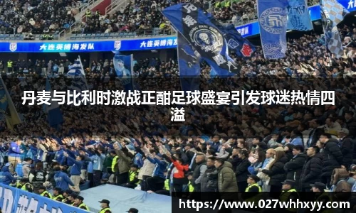 丹麦与比利时激战正酣足球盛宴引发球迷热情四溢